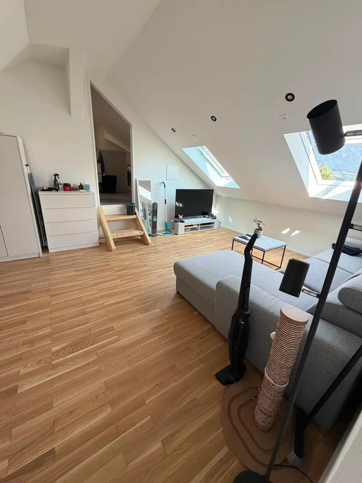 Appartement de chauffe rénové, moderne 1.5 pièces sous les toits à Sevelen