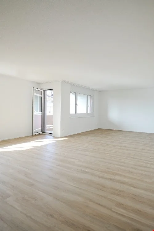 Sonnige, grosszügige und totalsanierte Wohnung
