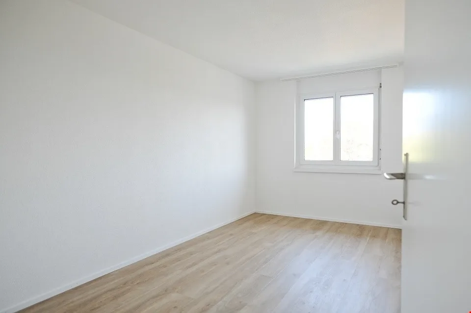 Sonnige, grosszügige und totalsanierte Wohnung