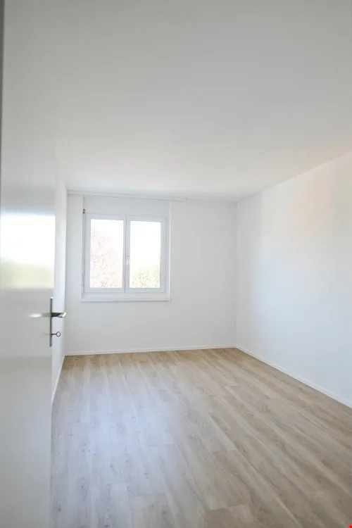 Sonnige, grosszügige und totalsanierte Wohnung