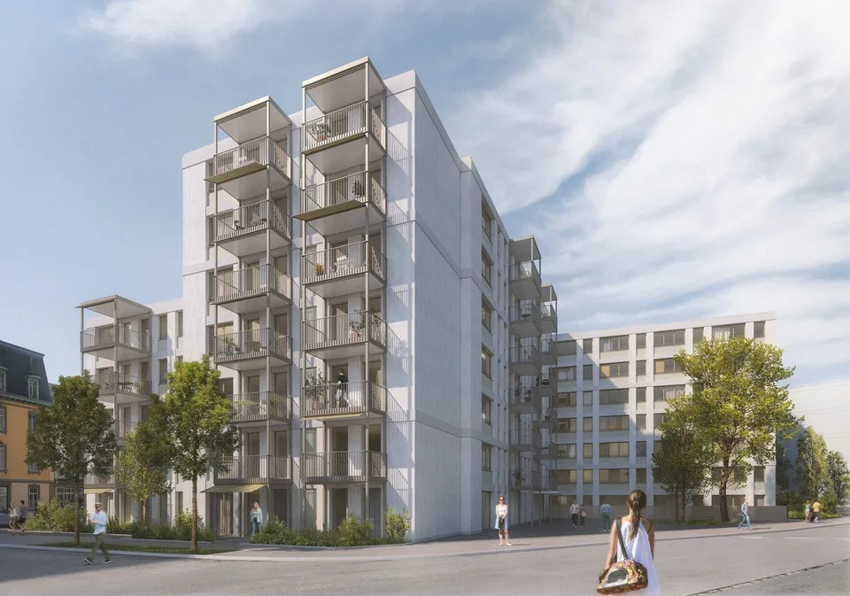 Appartements modernes 3.5 pièces à AVES - Le Nid pour les Oiseaux de Ville – photo 6 sur 7