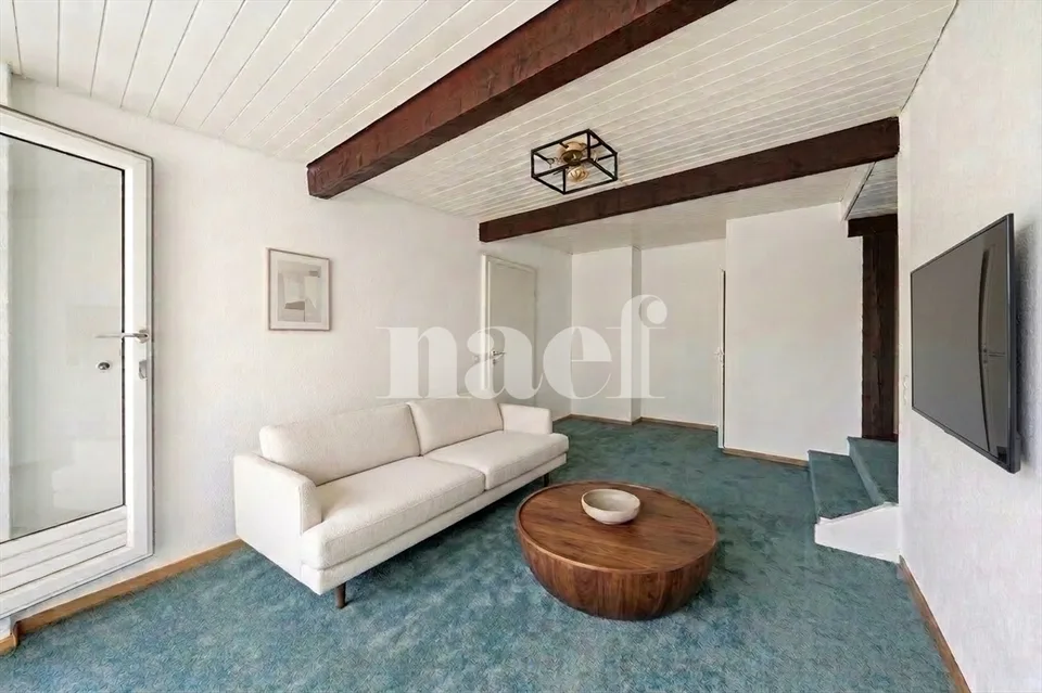 Duplex nel cuore di Petit-Saconnex – foto 3 di 13