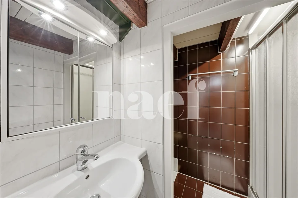 Duplex nel cuore di Petit-Saconnex – foto 7 di 13