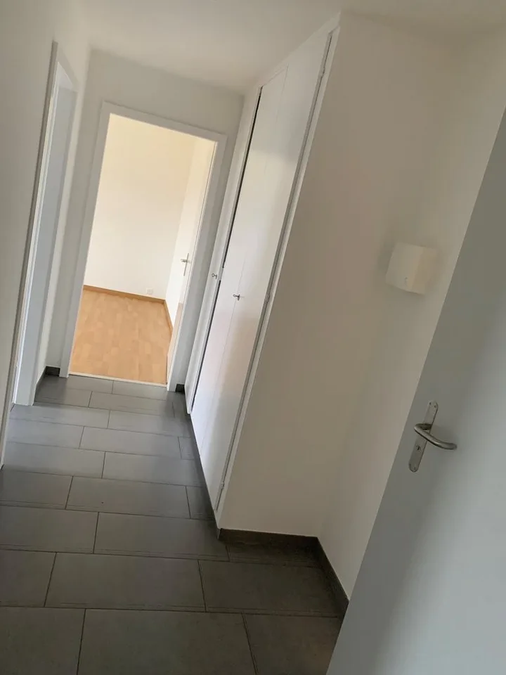 Incantevole appartamento di 3 locali a Hauterive