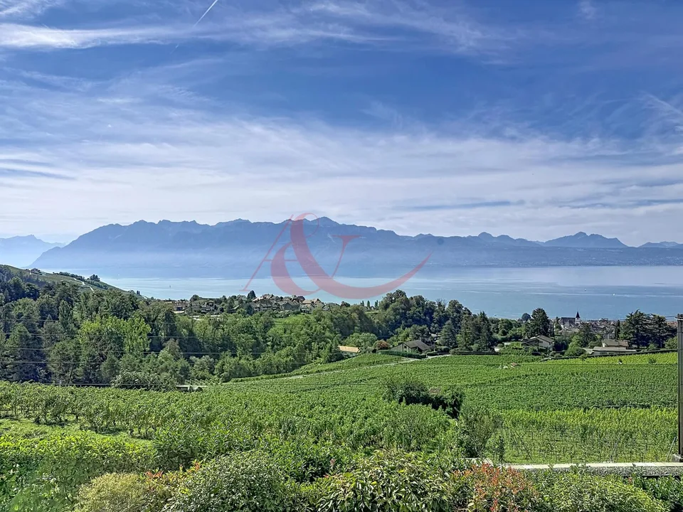 Résidence contemporaine avec vue sur le lac et les Alpes - La Conversion – photo 4 sur 13