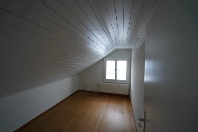 Quiet 4-room old building apartment with Alpine view and garden
