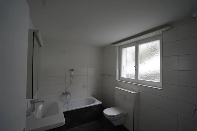 Quiet 4-room old building apartment with Alpine view and garden