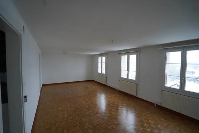 Quiet 4-room old building apartment with Alpine view and garden