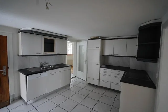 Quiet 4-room old building apartment with Alpine view and garden