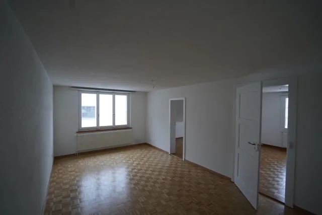 Quiet 4-room old building apartment with Alpine view and garden