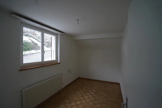 Quiet 4-room old building apartment with Alpine view and garden