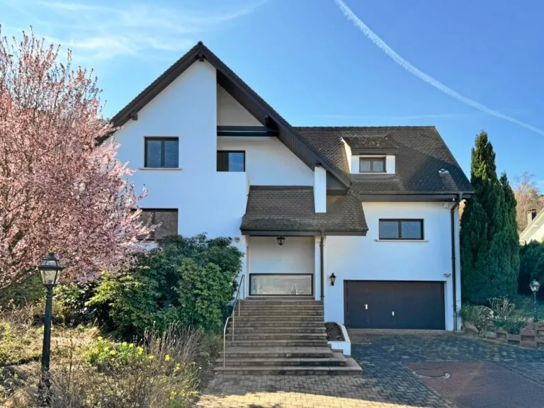 Réf: 11158 **** Leymen / frontière CH-Biel-Benken: Villa env. 220 m² – photo 5 sur 29