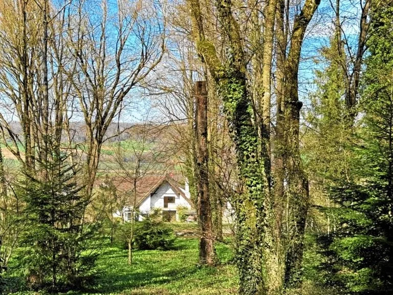 Réf: 11158 **** Leymen / frontière CH-Biel-Benken: Villa env. 220 m² – photo 9 sur 29