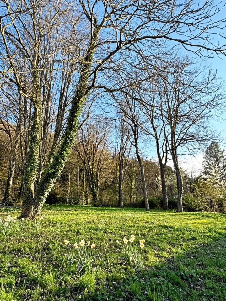 Réf: 11158 **** Leymen / frontière CH-Biel-Benken: Villa env. 220 m² – photo 6 sur 29