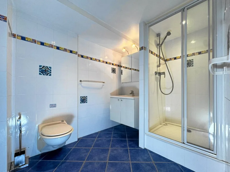 Réf: 11158 **** Leymen / frontière CH-Biel-Benken: Villa env. 220 m² – photo 21 sur 29