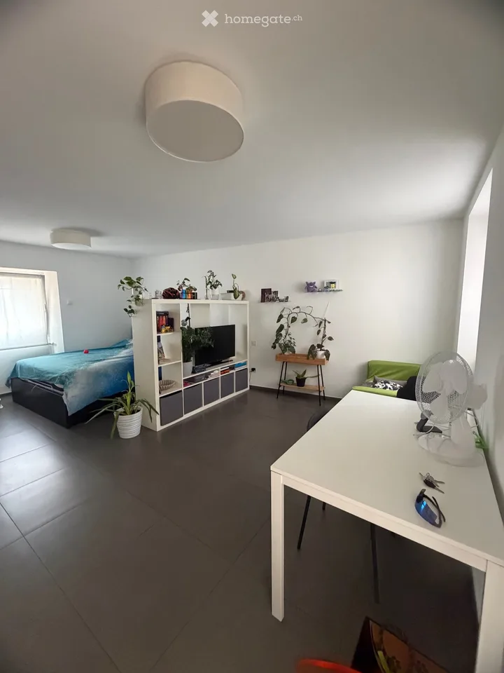 1,5 Zimmerwohnung in Barbengo – Foto 2 von 5