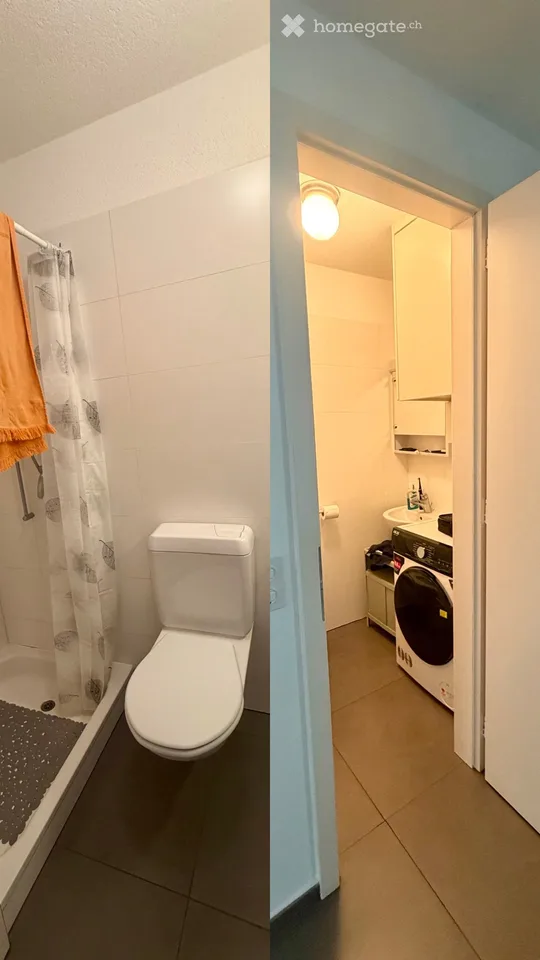 1,5 Zimmerwohnung in Barbengo – Foto 5 von 5