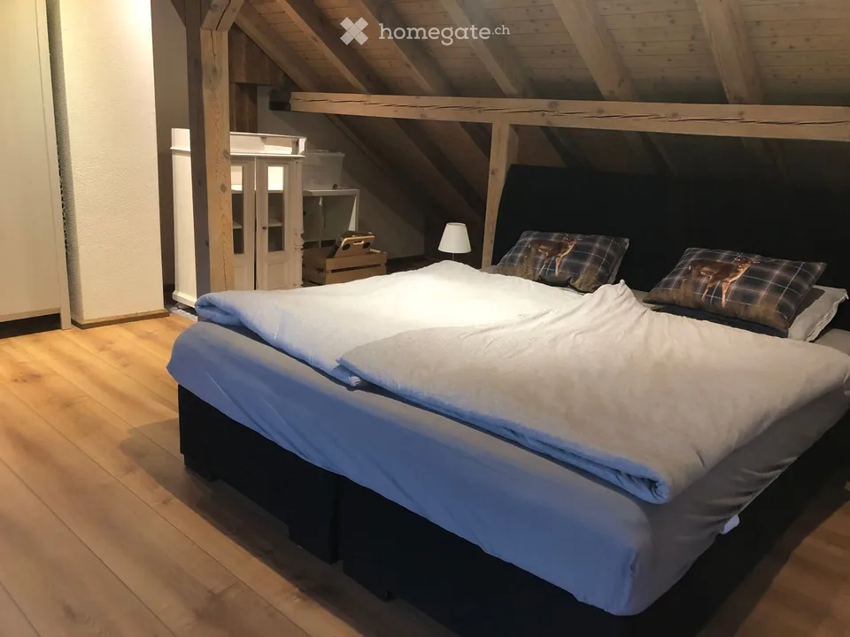 Quiet and bright middle house in nature
