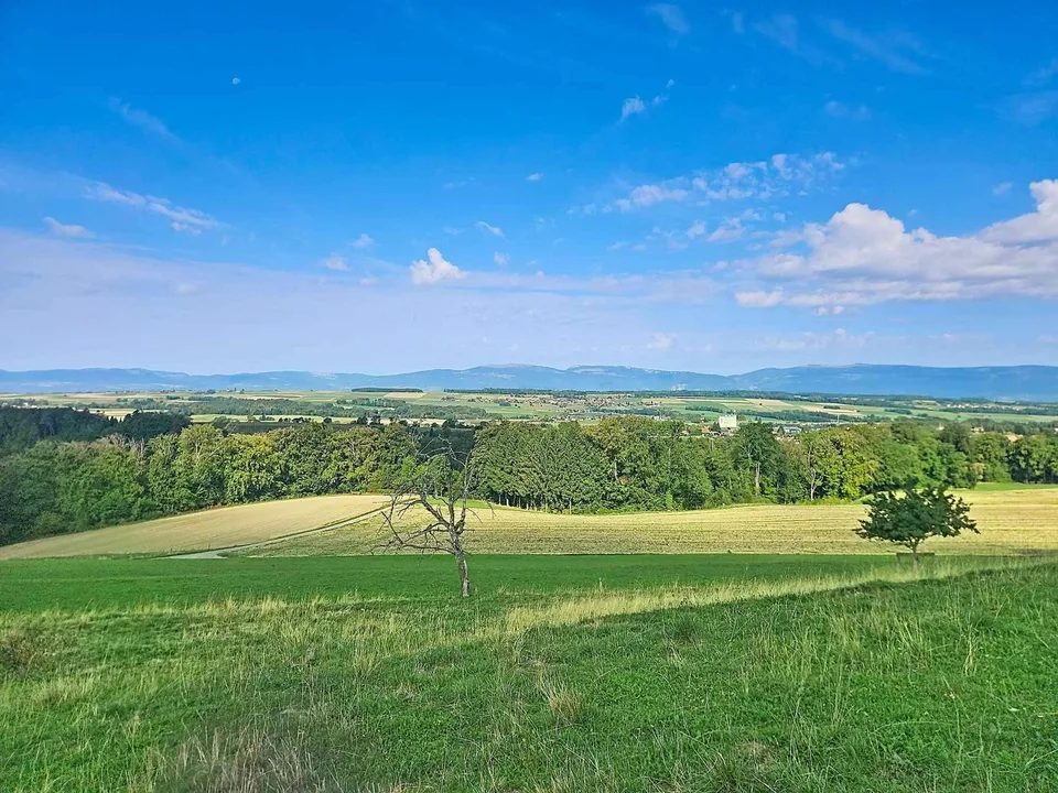 Magnifique villa de 4.5 pièces avec vue panoramique sur le Jura et la – foto 37 di 44