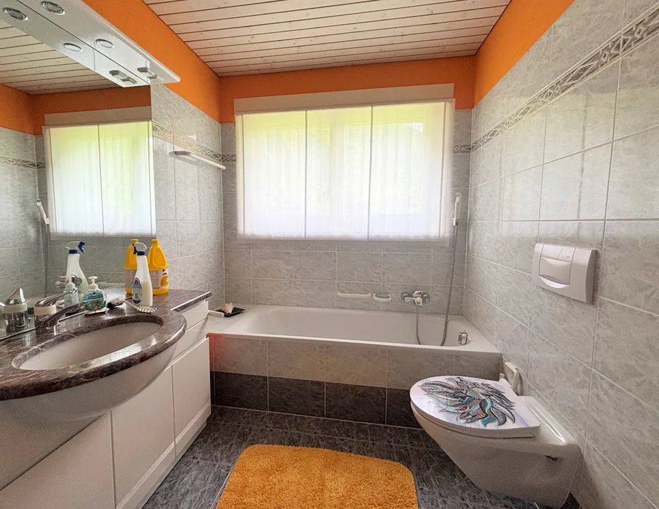 Appartement rénové immergé dans le vert et la nature – photo 11 sur 11
