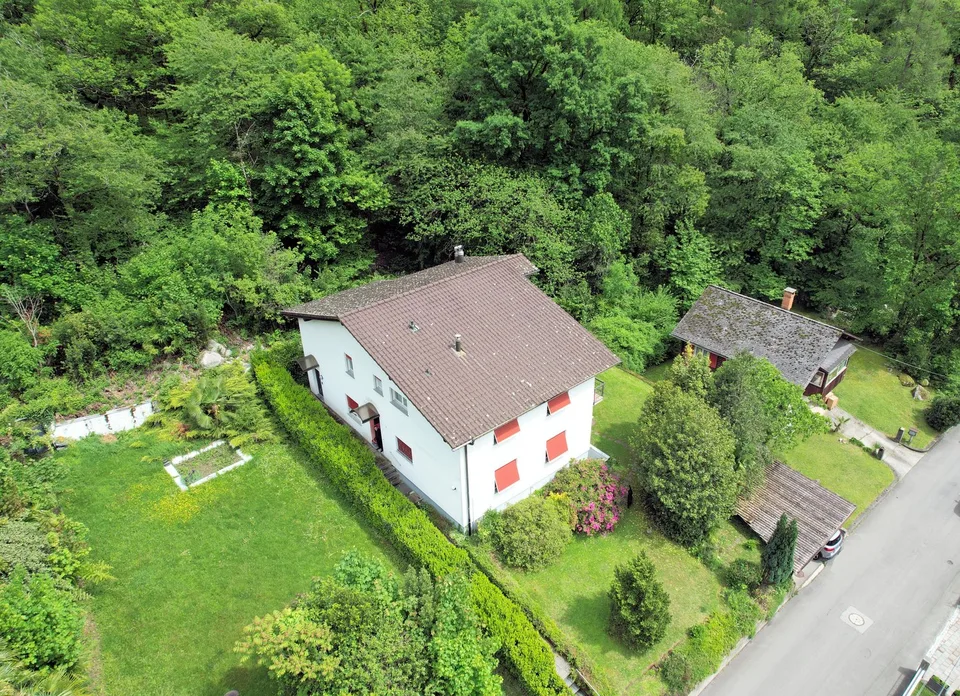 Appartement rénové immergé dans le vert et la nature – photo 6 sur 11