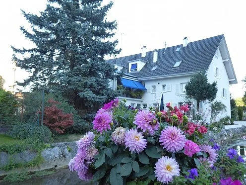 Réf: 11184*** Secteur Leymen / Oltingue: Ensemble d'env. 445 m² divisée en 4 appartements (2 gîtes) – photo 11 sur 13
