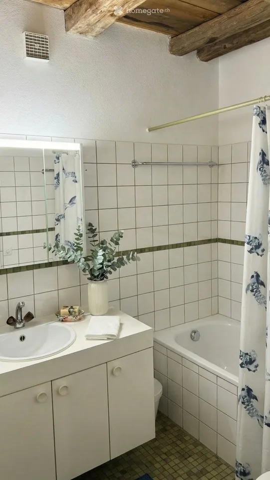 3 Wohnungen in Wilchingen - vermieten und gratis Wohnen – Foto 14 von 23
