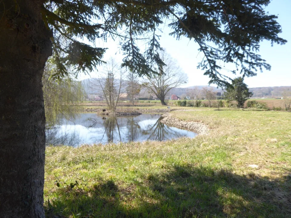 Réf: 11160*** Axe Bâle-Ferrette: Propriété d'exception de 380 m² env. – Foto 16 von 30