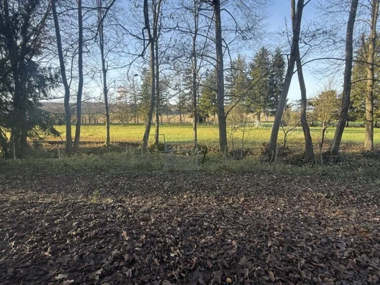 Réf: 11160*** Axe Bâle-Ferrette: Propriété d'exception de 380 m² env. – Foto 5 von 30