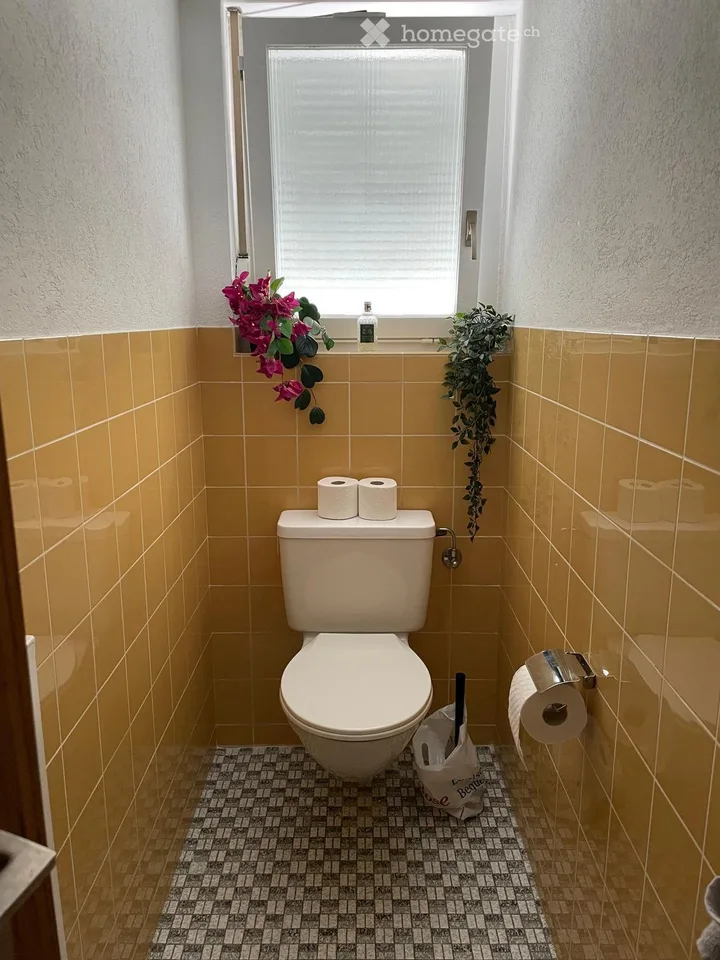 Grosse helle renovierte Wohnung mit Aussicht