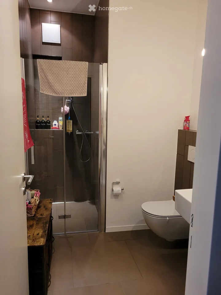 Modernes 11.5 Zi. Anwesen mit 3 Whg. via Cantonale 60 - Magliaso (Bezirk Lugano) – foto 25 di 30