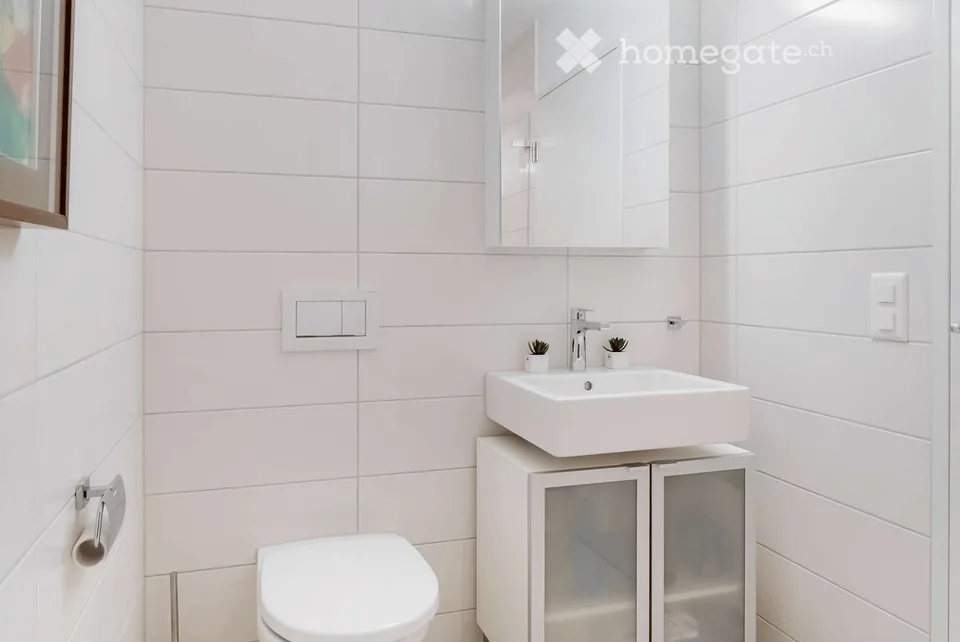 Appartement de terrasse exclusif de 5,5 pièces avec vue panoramique & Jacuzzi à Uznach