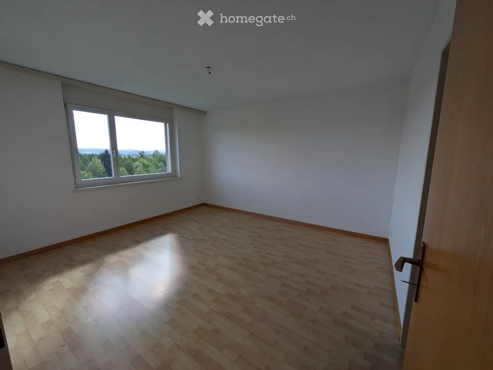Appartamento luminoso 4.5 locali con balcone e bella vista a Widen
