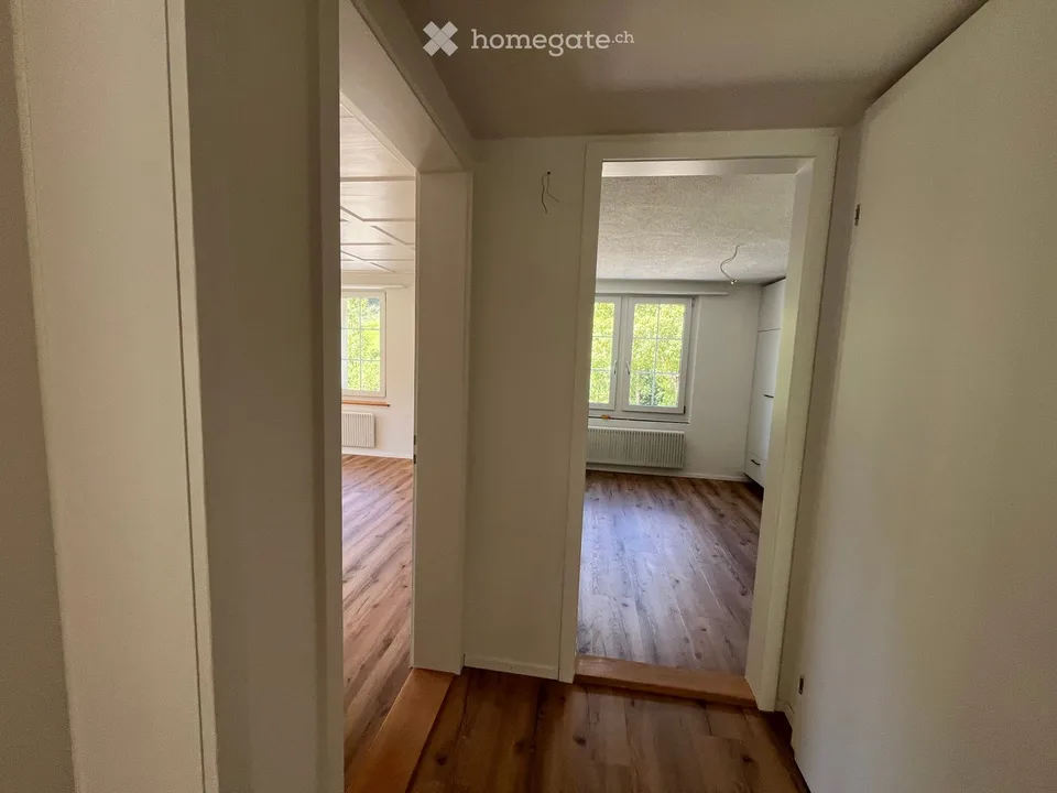 Delizioso appartamento di 3,5 locali in mansarda in un edificio antico con una vista incantevole sulla verde zona di Fischenthal