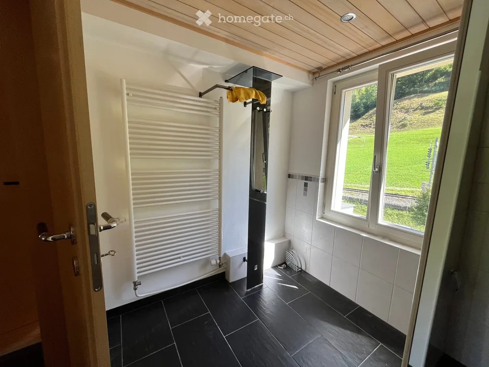 Delizioso appartamento di 3,5 locali in mansarda in un edificio antico con una vista incantevole sulla verde zona di Fischenthal
