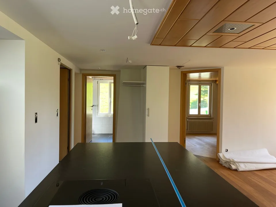 Delizioso appartamento di 3,5 locali in mansarda in un edificio antico con una vista incantevole sulla verde zona di Fischenthal