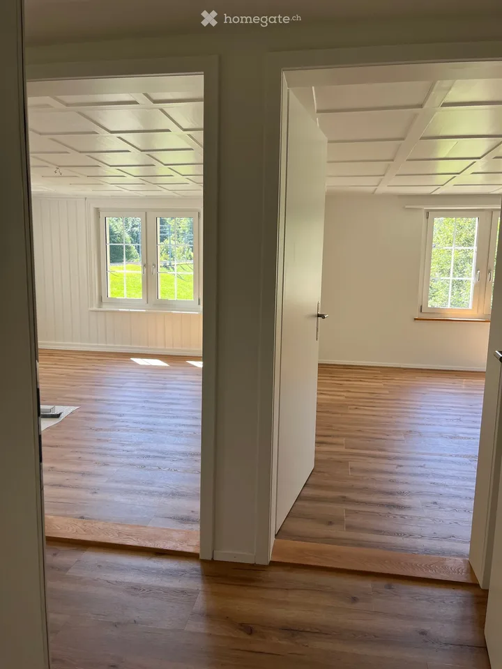 Delizioso appartamento di 3,5 locali in mansarda in un edificio antico con una vista incantevole sulla verde zona di Fischenthal
