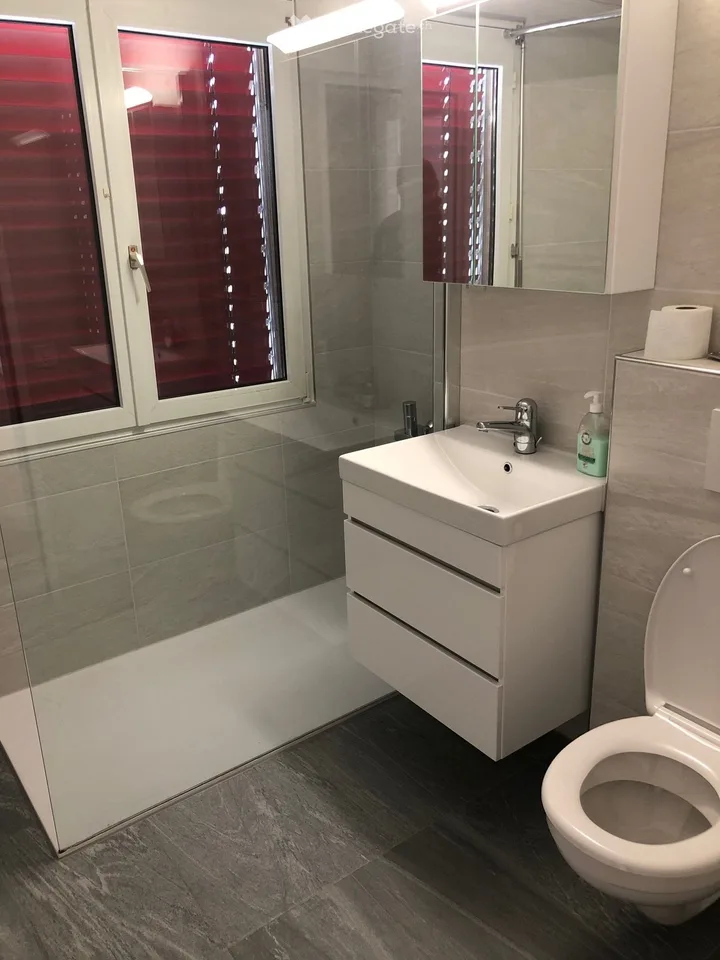 4.5 Zimmer Wohnung