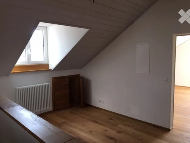 Loft-artige Dachwohnung in ehemaligem Bauernhaus mit grossem Gartensitzplatz am Bach