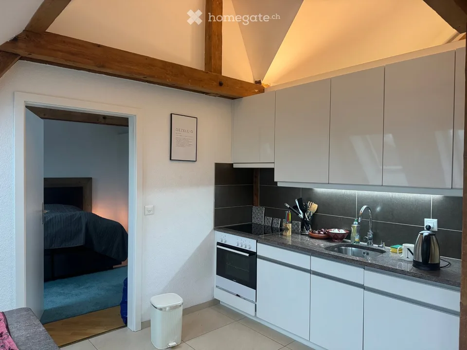Moderne 2,5-Zimmer-Dachgeschosswohnung in Zürich-Wiedikon – Foto 2 von 5