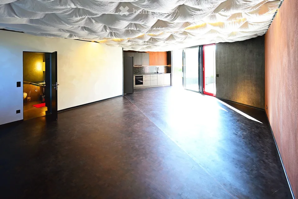 Vivere in un'opera d'arte sopra il Fricktal: loft di 1,5 locali al piano terra – Frick, Höhenweg 38