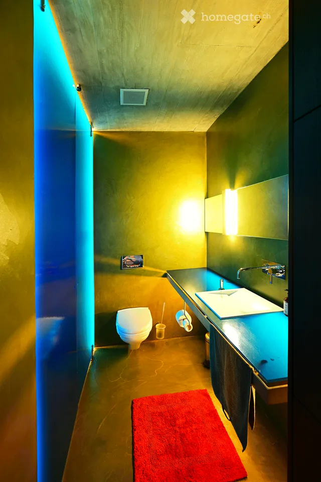 Vivere in un'opera d'arte sopra il Fricktal: loft di 1,5 locali al piano terra – Frick, Höhenweg 38