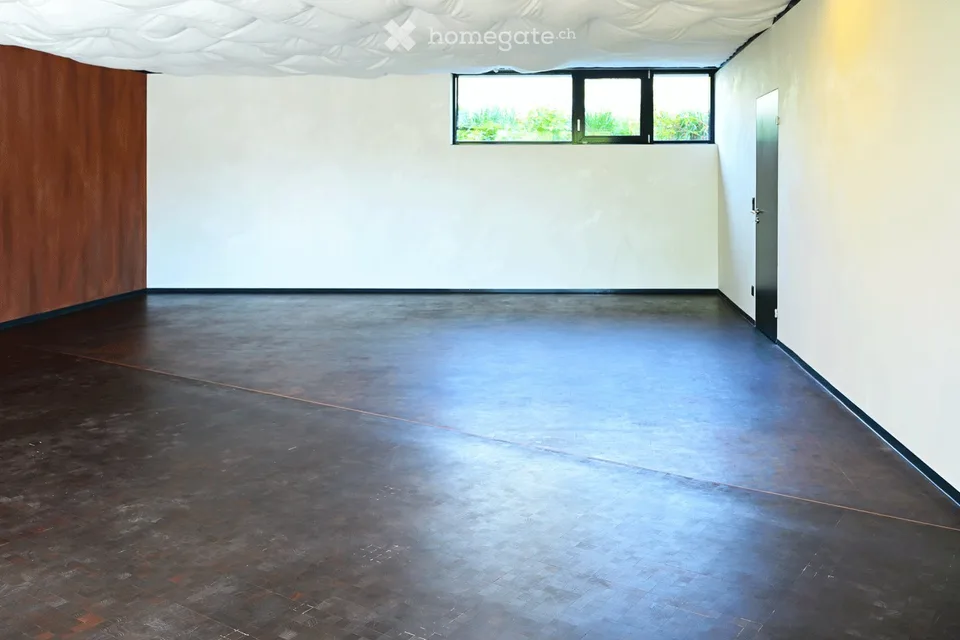 Vivere in un'opera d'arte sopra il Fricktal: loft di 1,5 locali al piano terra – Frick, Höhenweg 38