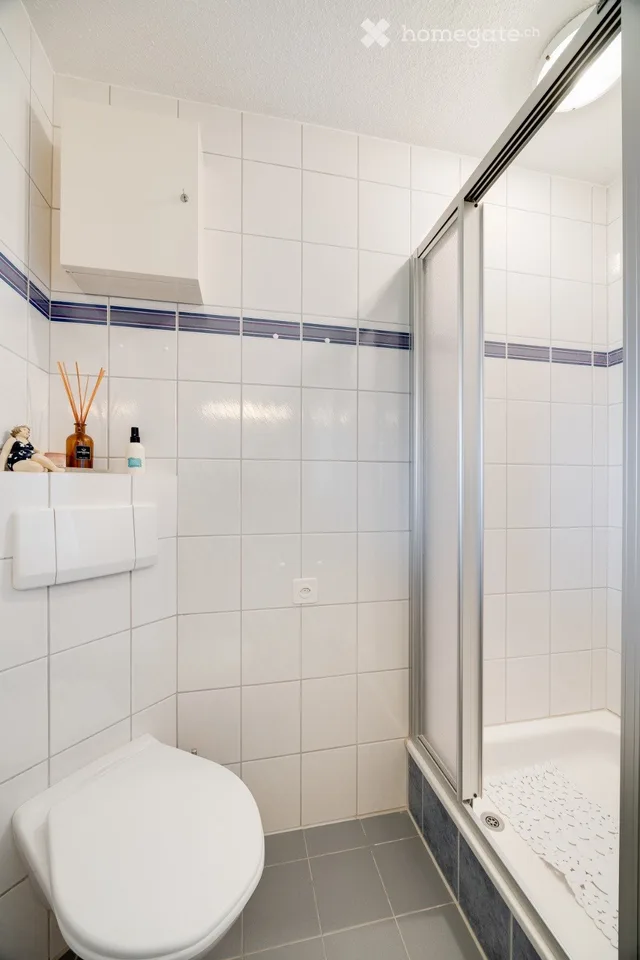 Spacious 5.5-Room Apartment in Siebnen – Renovated & Wheelchair Accessible