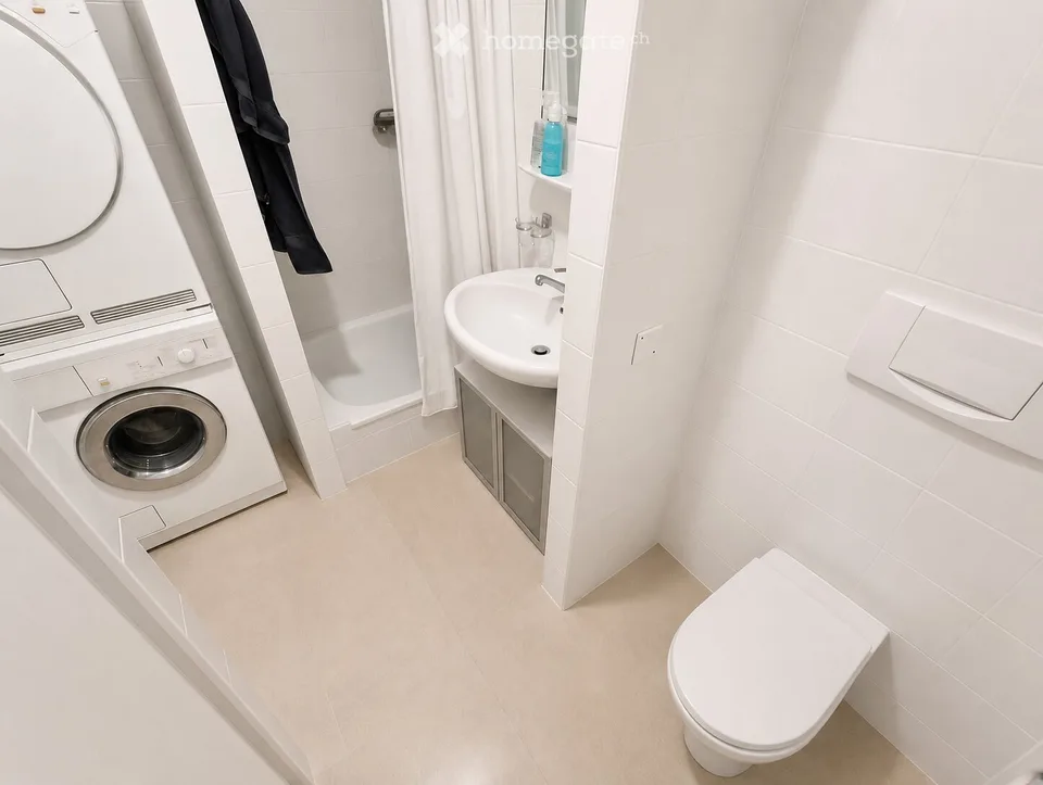 Sunny Duplex Apartment in Exclusive Location in Versoix