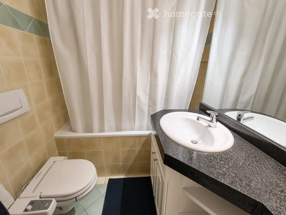 Sunny Duplex Apartment in Exclusive Location in Versoix