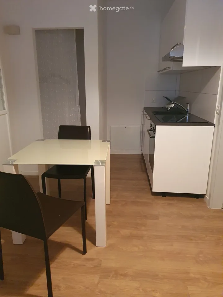 Appartamento studio arredato in affitto a Bitsch, Vallese