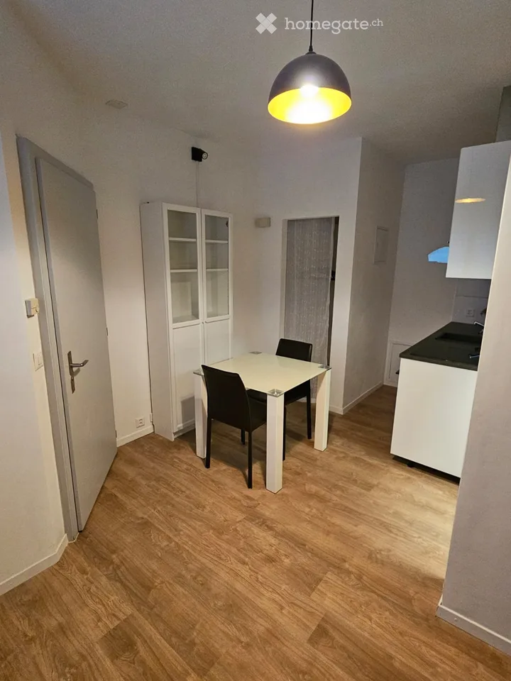 Appartamento studio arredato in affitto a Bitsch, Vallese