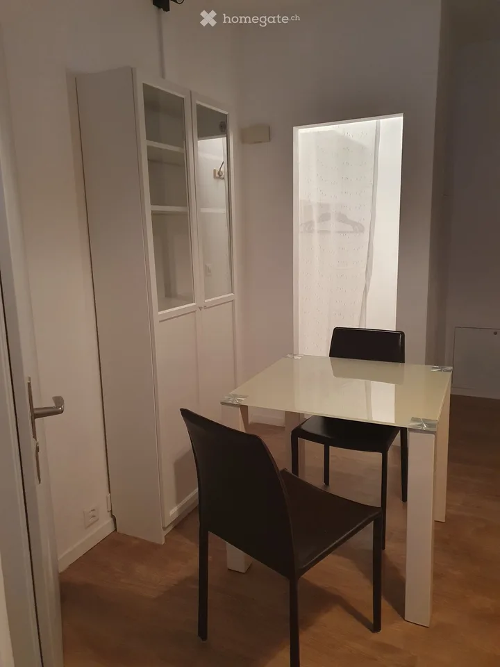 Appartamento studio arredato in affitto a Bitsch, Vallese
