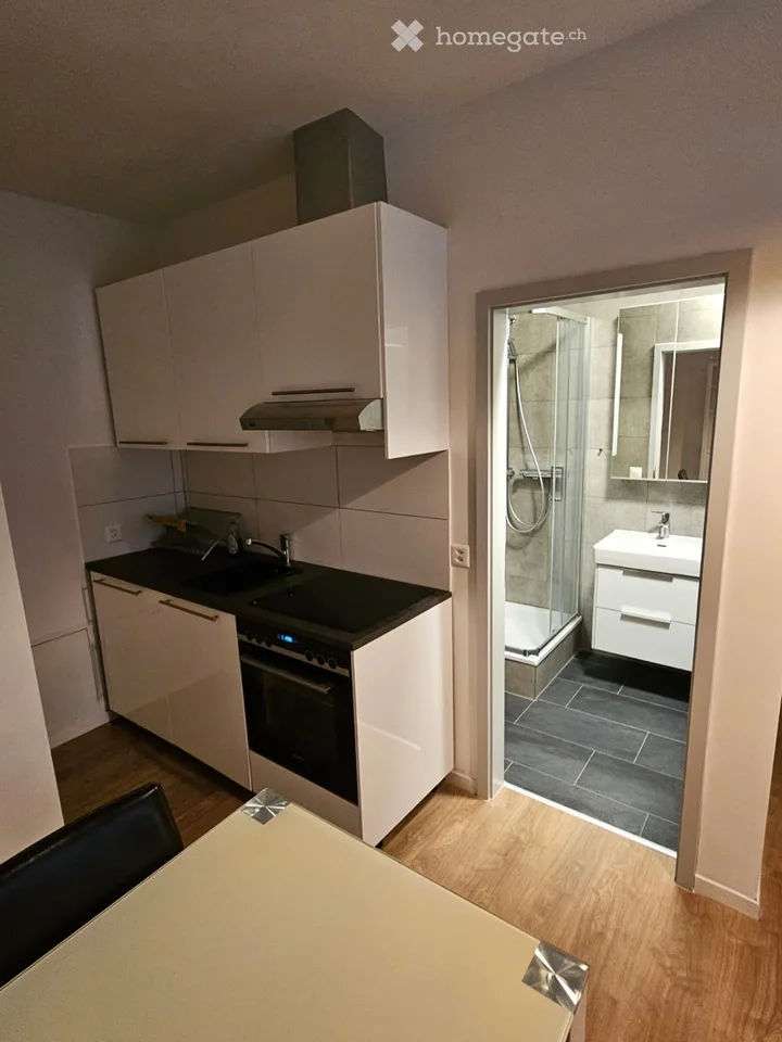 Appartamento studio arredato in affitto a Bitsch, Vallese